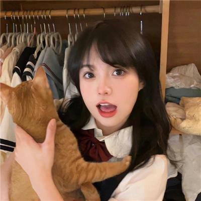 舒适的小屋